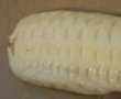 Pastrav somonat in foietaj-3