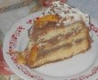 Tort cu nectarine-5