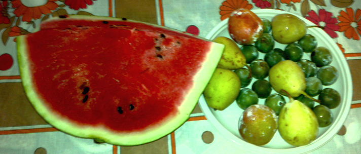 Barcuta cu fructe
