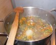 Supa cu galuste pestrite-0