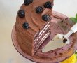 Chocolate cake si-o aniversare-5