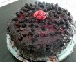 Tort rosu  & negru-1