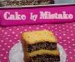 Cake by Mistake-0