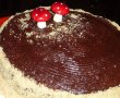 Tort de ciocolata cu alune de padure-0