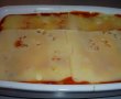 Lasagna vegetariana-1