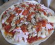 Pizza casei-4