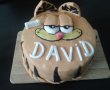 Tort Garfield-0