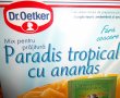 Paradis Tropical cu ananas Dr.Oetker-0
