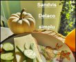 Sandvis Delaco simplu-2