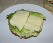 Sandwich lacto-vegetarian-0