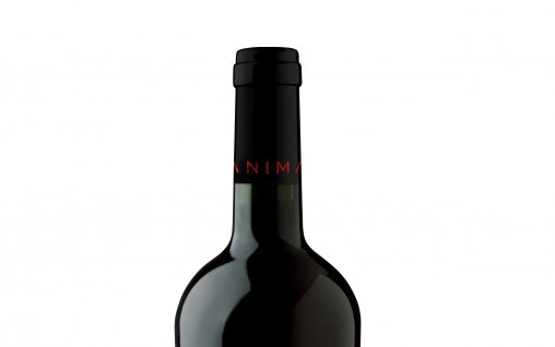 “3 Fete Negre” seria 001- noul vin de colecţie semnat de Aurelia Vişinescu