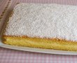 Prajitura cu crema de lamaie si cocos-4
