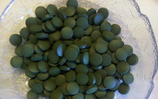 Chlorella