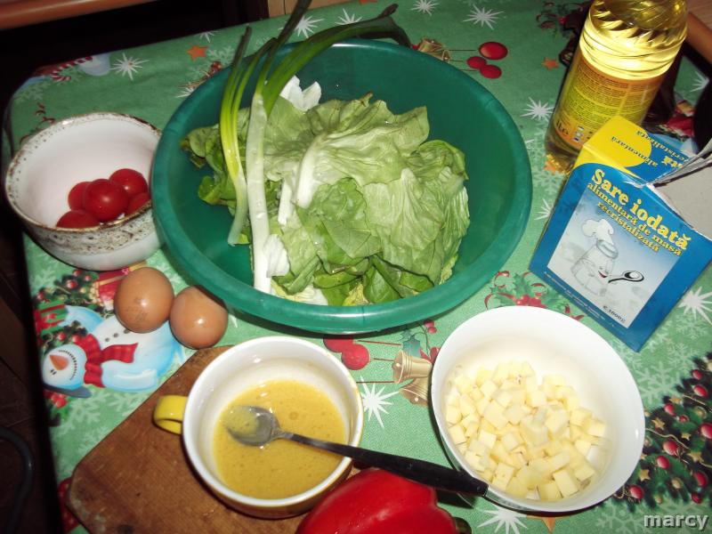 Salata Marcela