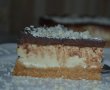 Cheesecake cu ciocolata-6