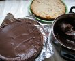 Tort de ciocolata cu blat de caise-13