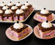 Prajitura cu mousse de afine-13
