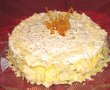 Tort Egiptean-1