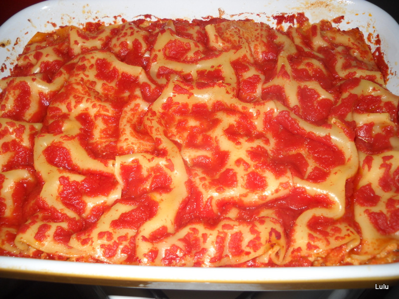 Lasagna cu soia