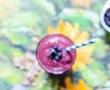 Blueberry smoothie-2