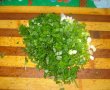 Orez cu legume si piept de pui-2