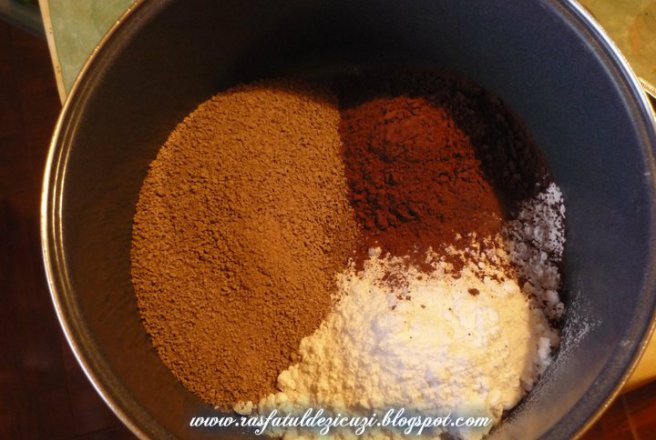 Mix pentru ciocolata calda (pudra, home made)
