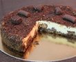 Cheesecake cu ciocolata-4