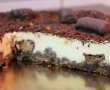 Cheesecake cu ciocolata-5