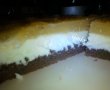 Prăjitură cu brânză şi cremă de fanta-12