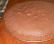 Chocolate Cake-2