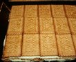 Desert tort de biscuiti-7