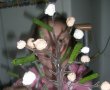 Un copac cu flori de branza-4