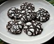 Chocolate Crinkles/Biscuiti crapati-2