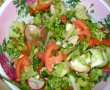 Salata cu salata verde,rosii si ceapa-9