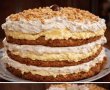 Desert tort Egiptean-17