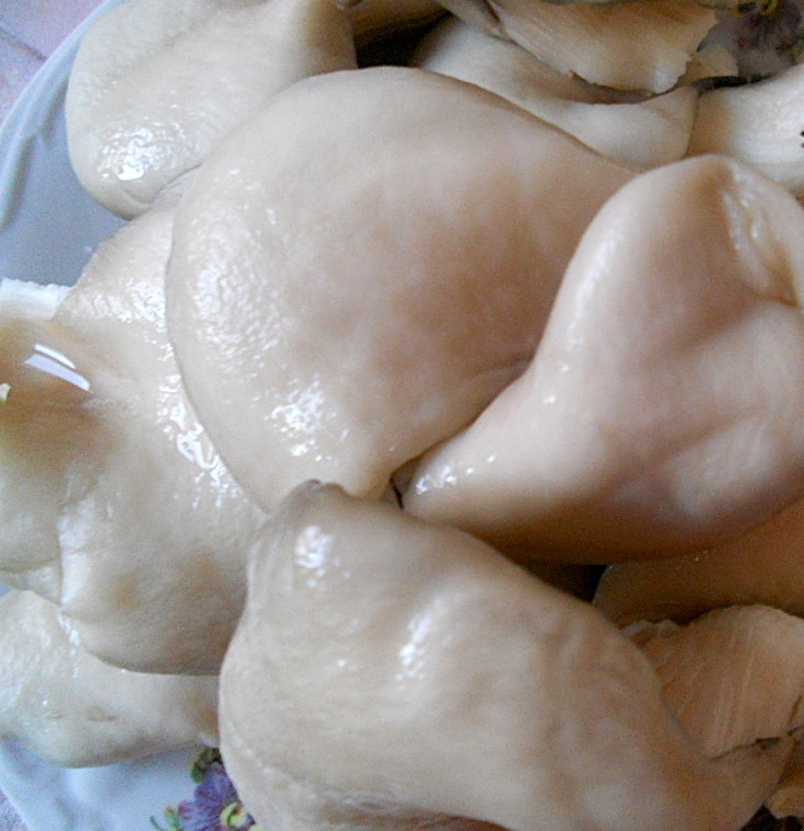 Mâncare de ciuperci pleurotus cu orez(de post)