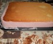 Deliciu cu capsuni-10