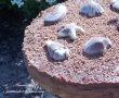 Cheesecake rapid cu ciocolata-3