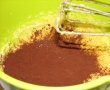 Salam de cereale cu ciocolata-4