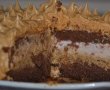 Tort cu bezea caramelizata-14