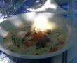 Supa ardeleneasca  de pui cu legume ( becsinalt leves)-1