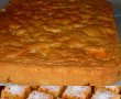 Desert pandispan cu caise-11
