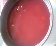 Chisalita de zarzare rosii ( corcoduse)-2