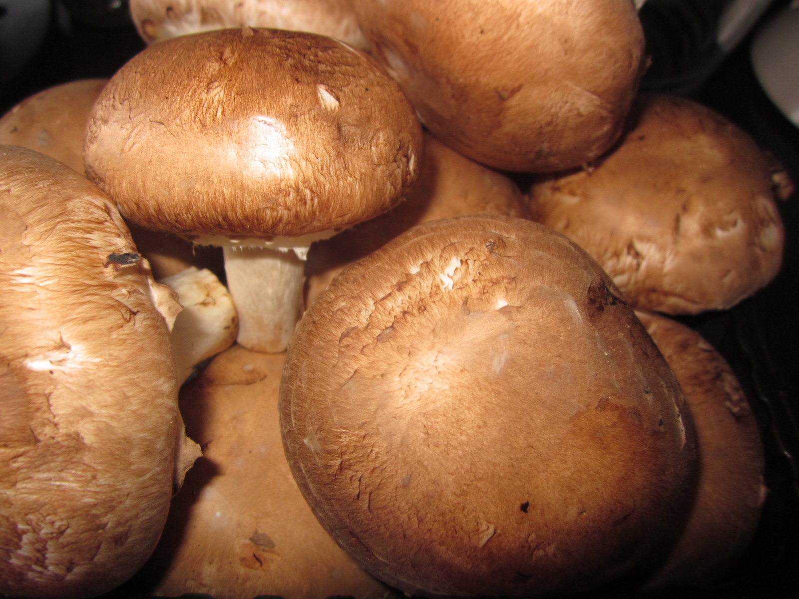 Ciuperci brune la cuptor