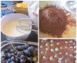 Prăjitură cu struguri și cacao-4