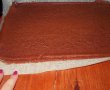 Felie de lapte(Milch Schnitte)-8