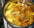 Mancarica de cartofi cu pui-3