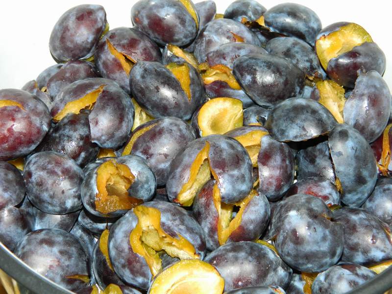 Gem de prune