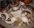 Ciuperci trifolate-1