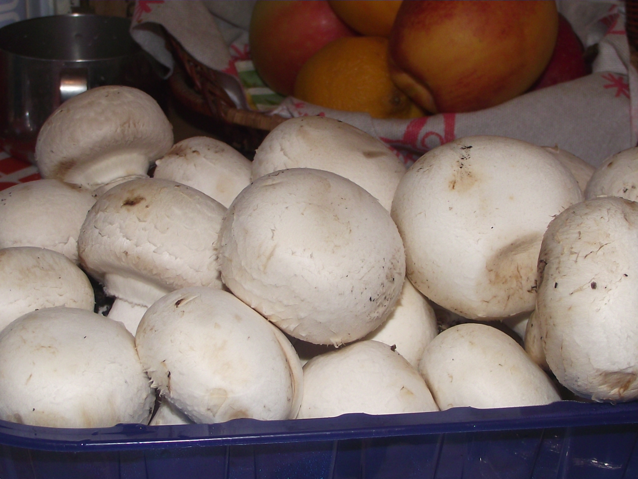 Ciuperci trifolate